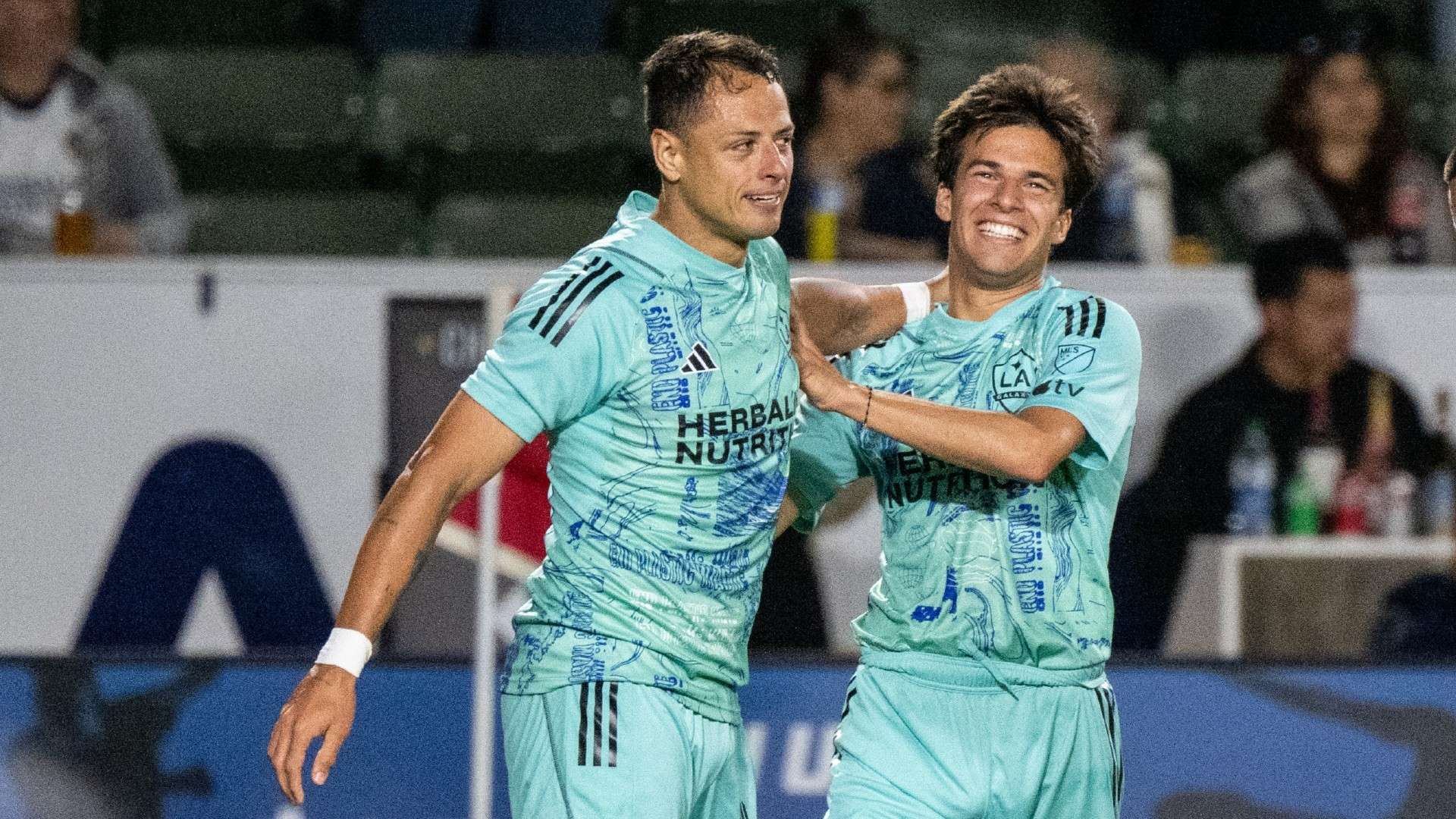 自己的适应 自己的适应