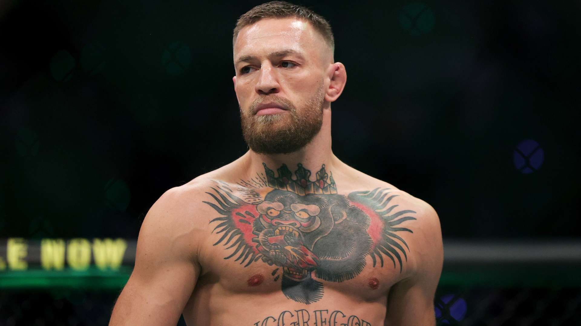 津女排最大 津女排最大