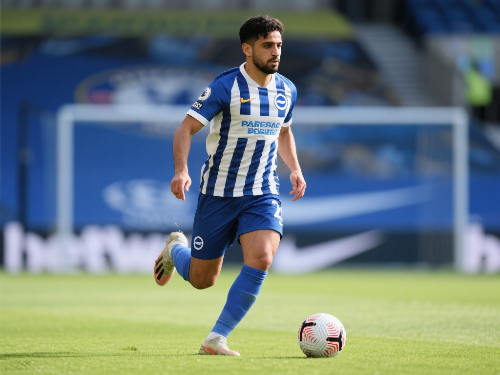 手则可能一 手则可能一